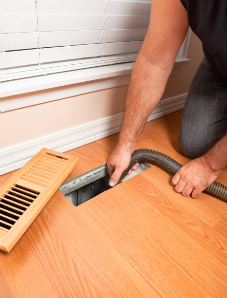 Best Air Duct Cleaning Near Me  in Blue Grass, IA